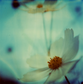 Illustration for article titled Polaroid SX-70: The Joy of Instant Photography Before Digital